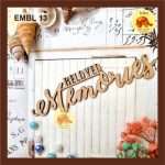 DECORATIVE EMBELLISHMENT 13