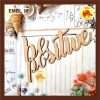 DECORATIVE EMBELLISHMENT 18