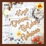 DECORATIVE EMBELLISHMENT 07